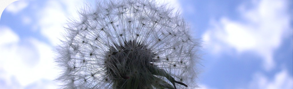 La farmacia di Cogne: vendita online di prodotti per la cura del viso, del corpo, dei capelli.